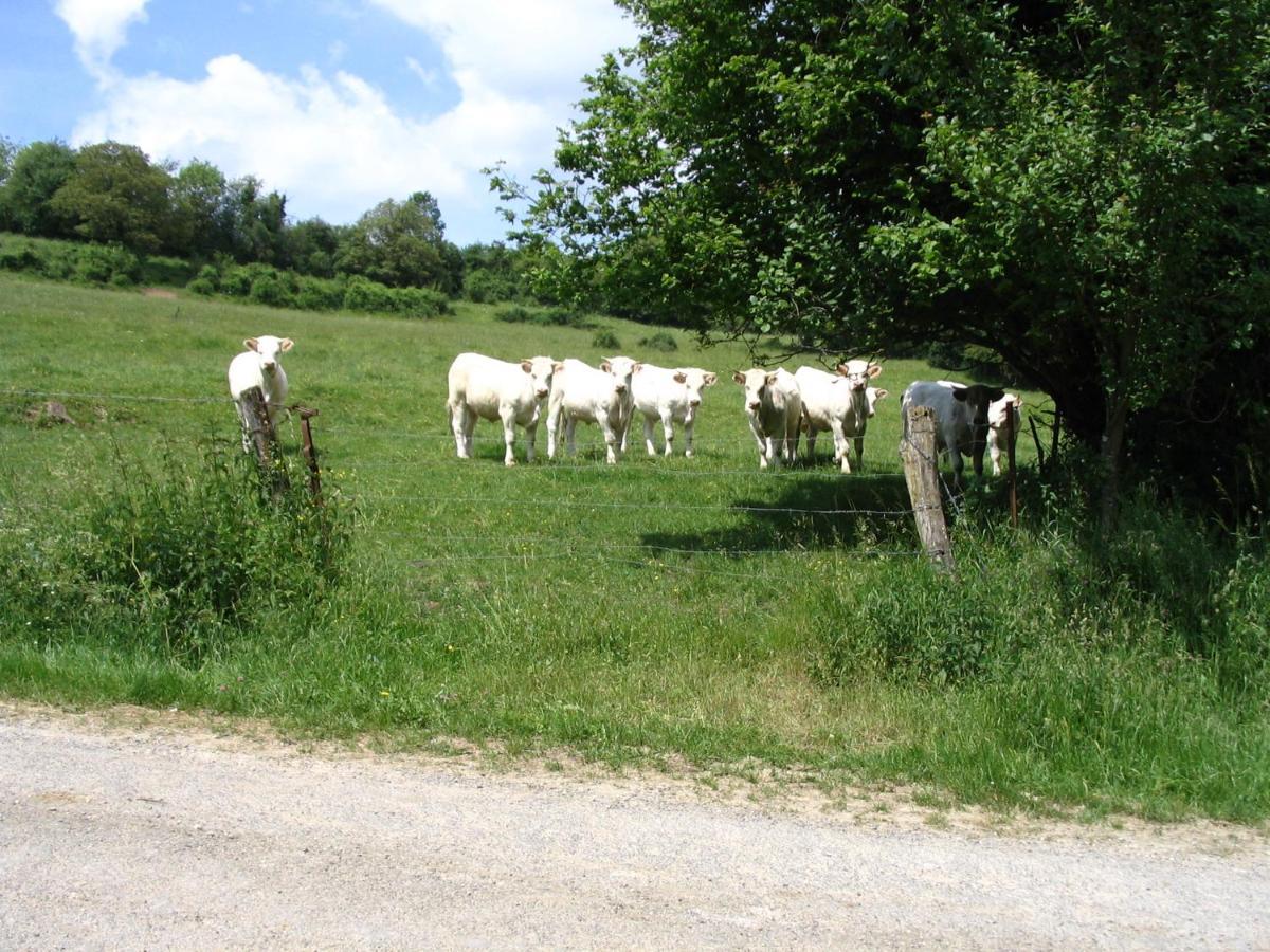 4 Collines Bed & Breakfast Hagnicourt Luaran gambar