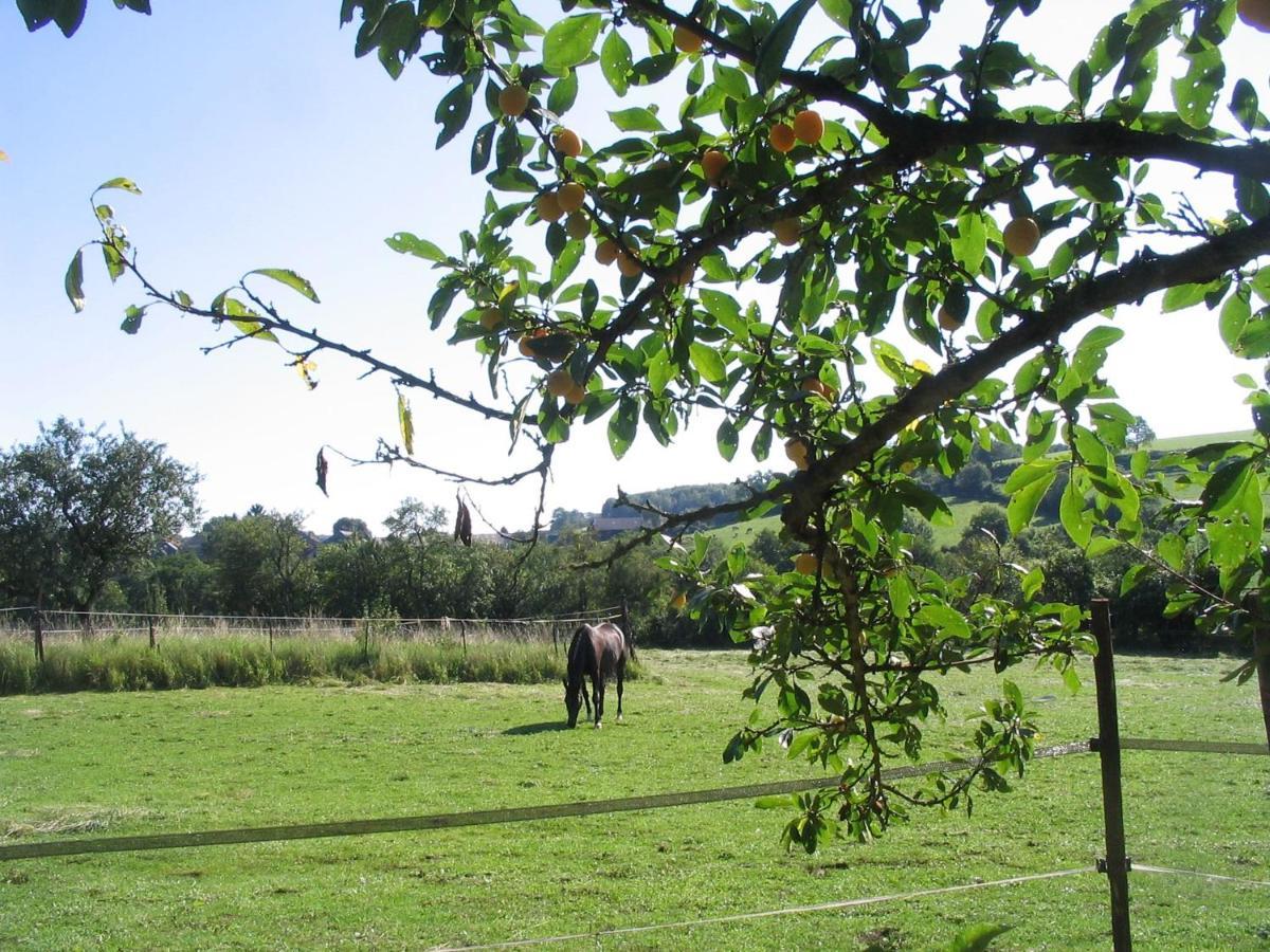 4 Collines Bed & Breakfast Hagnicourt Luaran gambar
